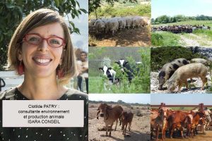 Consultant environnement et production animale - Isara Conseil